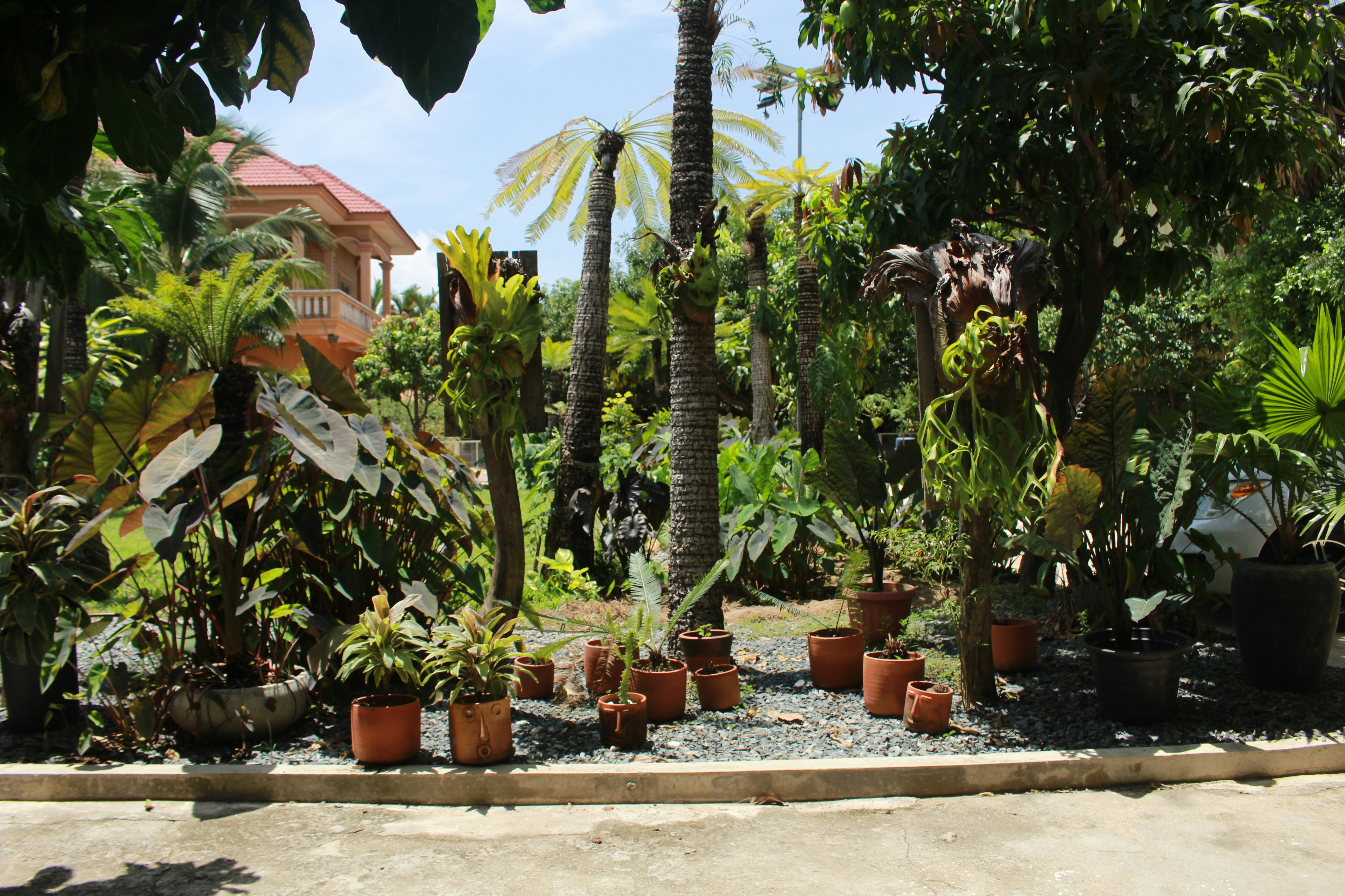 Bahçe Manzaralı Oda